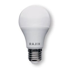 LAMPADA LED    15W 6.500K 1311L BIV