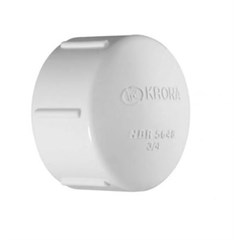 CAPS RR 1 (0222)