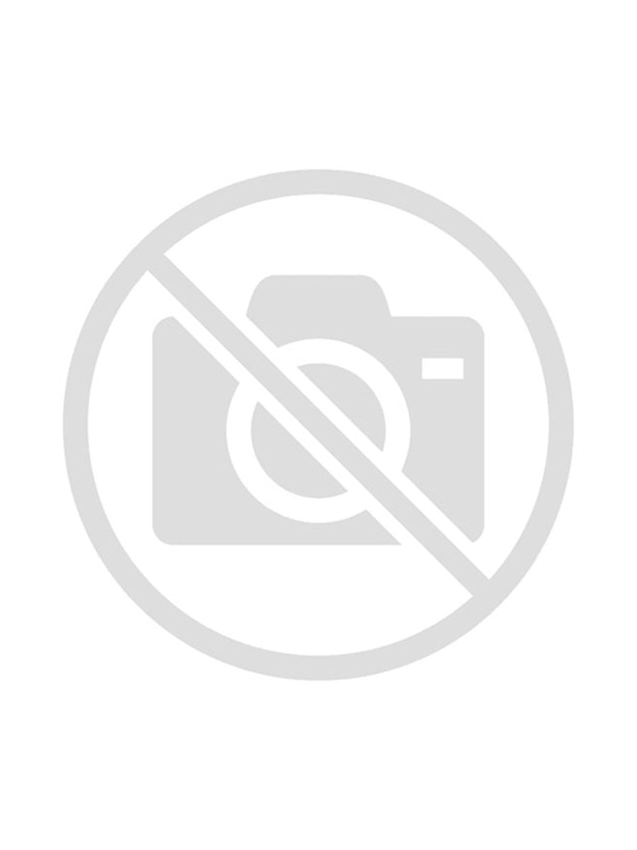 CACAMBA PLASTICA P/ PINTURA 10L (BALDE)